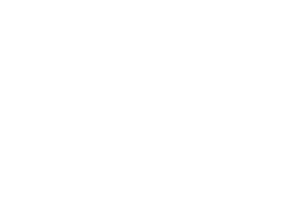 less-consulting-logo-footer